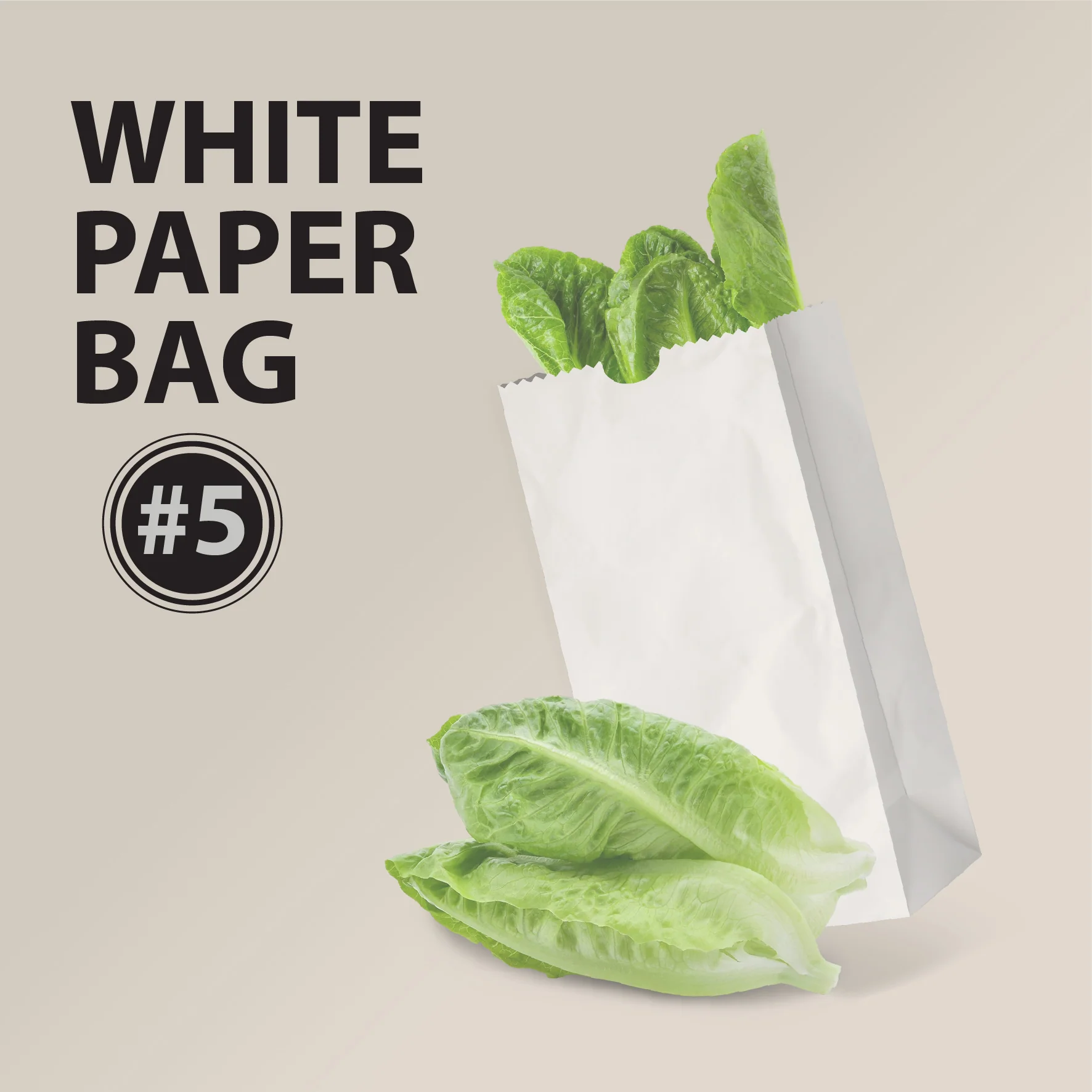 Paper Bags - White - #8 - Made in Canada - Image 8