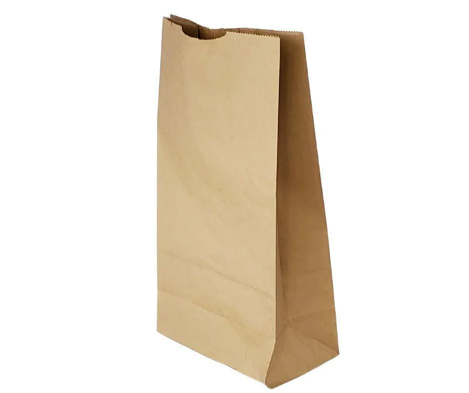 Paper Bags - Brown/Kraft - #10 - Made in Canada - Image 3