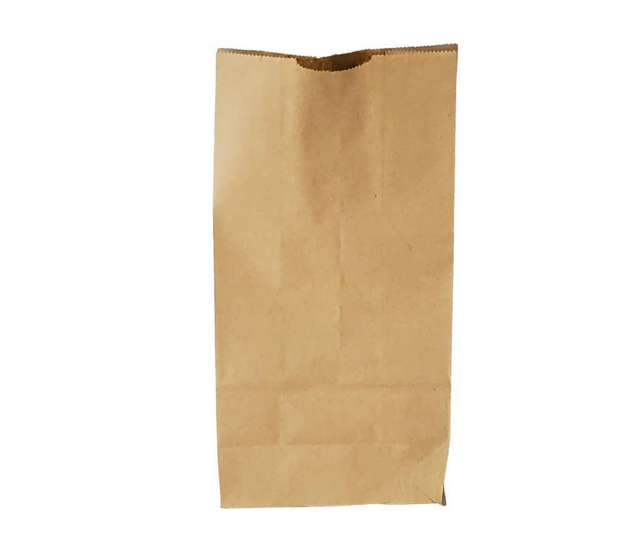 Paper Bags - Brown/Kraft - #10 - Made in Canada - Image 4