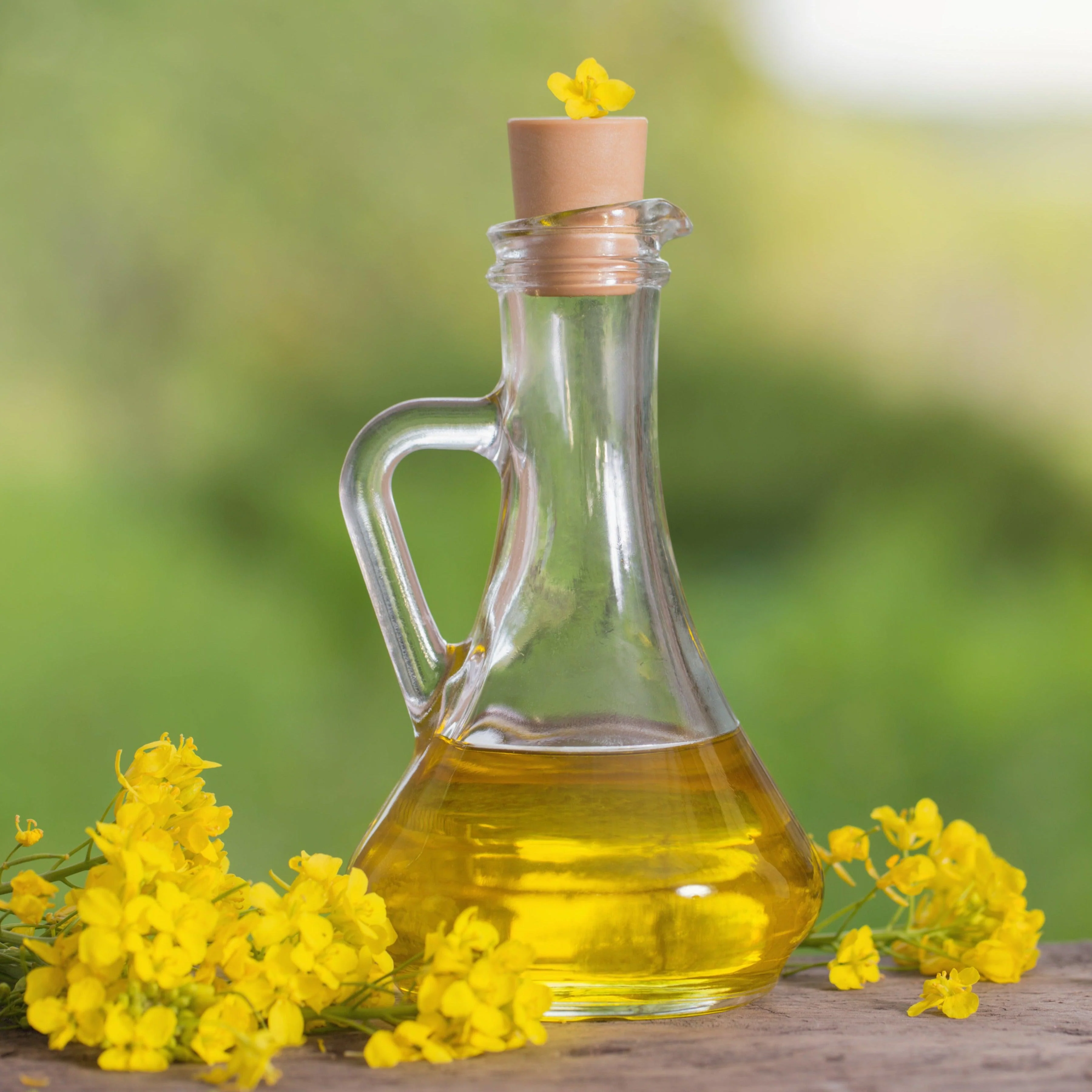 Saporito - Canola Oil Pail - Image 2