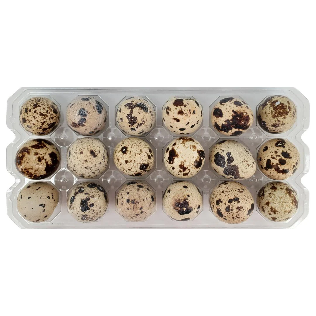 Spring Creek - Quail Eggs - Image 2