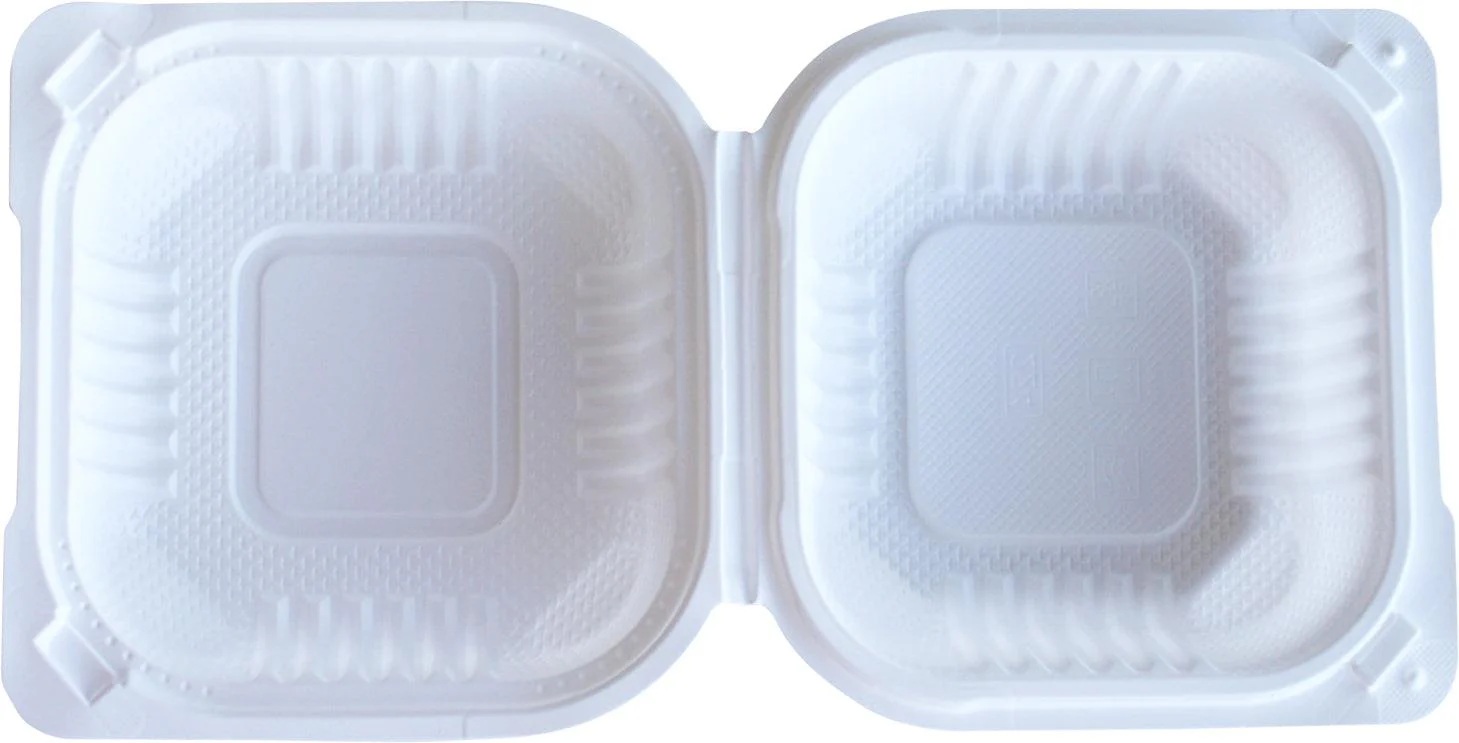 Eco-Craze - MFPP Clamshell Container - 5x5 - 1 Comp. - White - Image 5