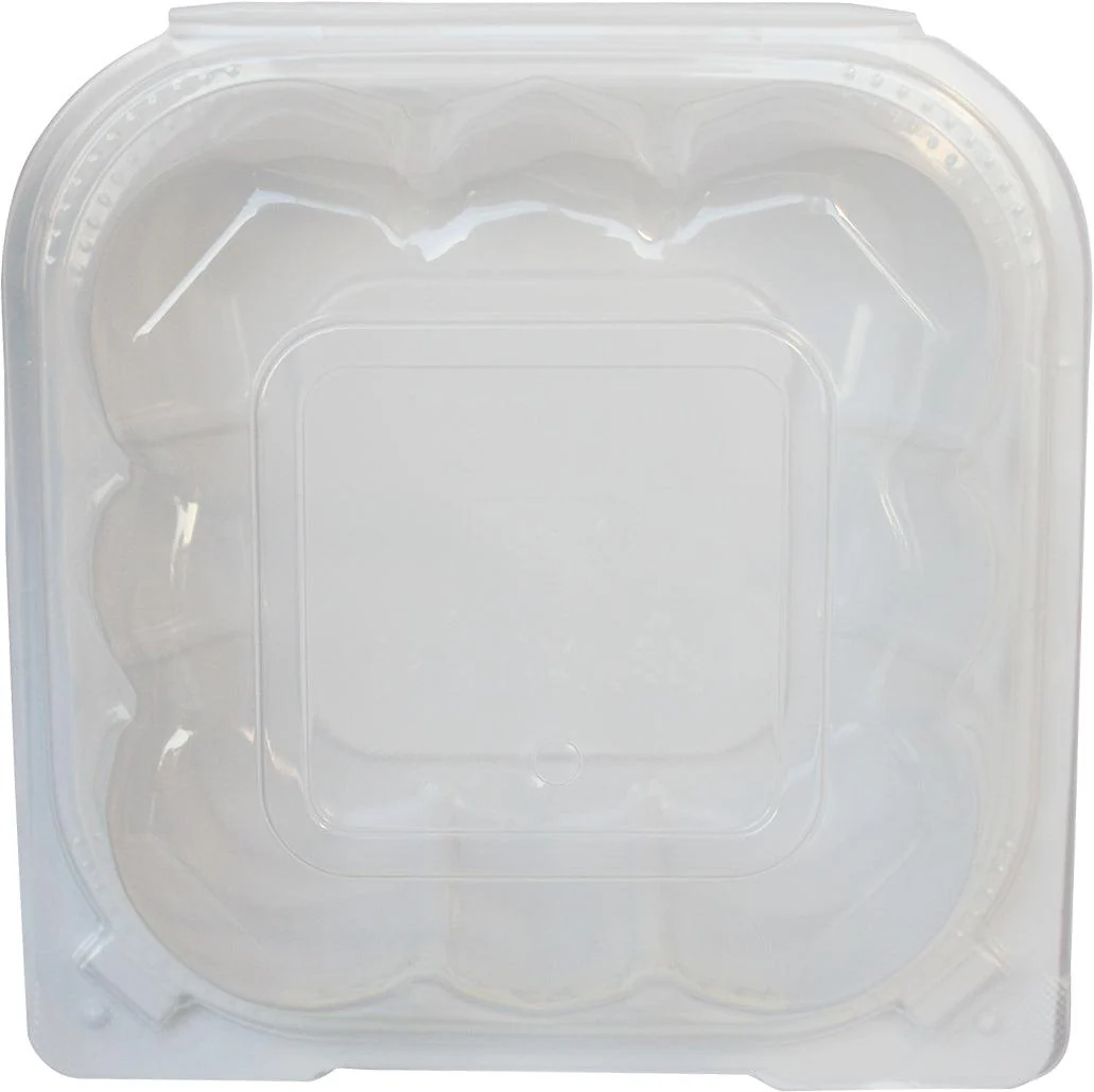 Value+ - YR661W-V- PP Hinged Cont.- 6x6x3"- White w/Clear Lid - Image 3