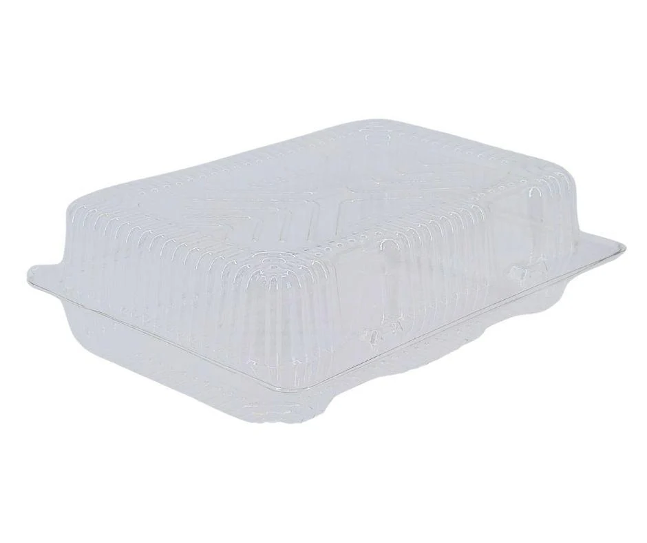 Value+ - Shallow Lunch Container - 8.175" x 5.876" x 2.625" - #22 - Image 2