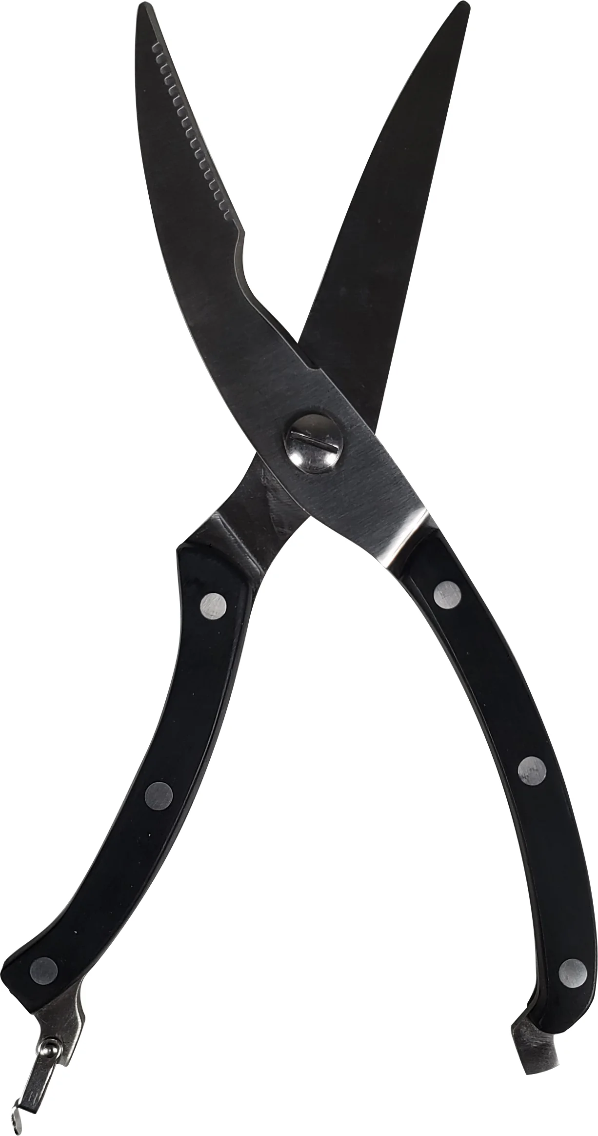 Magnum - Poultry Shears S/S Spring Action 10" - Image 2